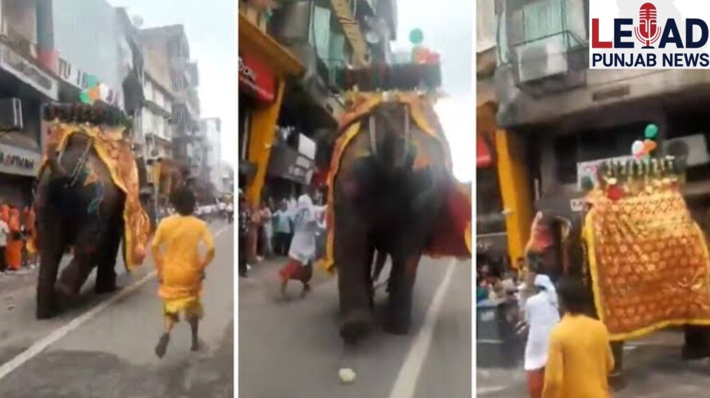 ЁЯУН*рдЕрд╣рдорджрд╛рдмрд╛рдж рд░рдердпрд╛рддреНрд░рд╛ рдореЗрдВ рдЕрдлрд░рд╛-рддрдлрд░реА, рддреАрди рд╣рд╛рдереА рдЕрдЪрд╛рдирдХ рдмреЗрдХрд╛рдмреВ, рджреЛ рдШрд╛рдпрд▓, рд╕рд╛рдордиреЗ рдЖрдпрд╛ рд╡реАрдбрд┐рдпреЛ*ЁЯУН