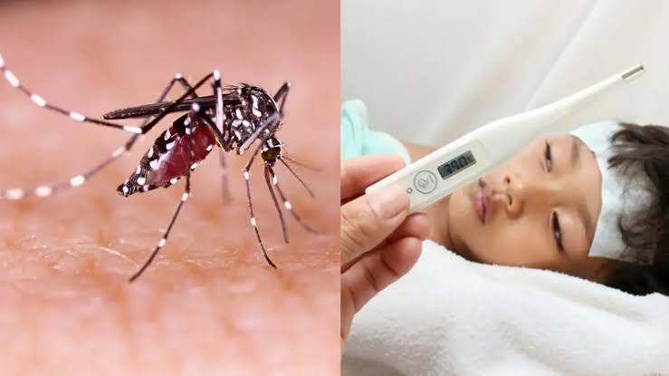 ЁЯУН*рдбреЗрдВрдЧреВ рдмреБрдЦрд╛рд░: рдбреЗрдВрдЧреВ рдмреБрдЦрд╛рд░ рдХреНрдпрд╛ рд╣реИ?*ЁЯУН